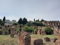Rom - Forum Romanum (Blick zum Palatin-Hügel)
