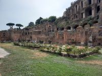 Rom - Forum Romanum (Haus der Vestalinnen)