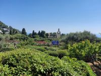 Insel Capri - Capri-Zentrum (Kartäuserkloster San Giacomo)