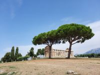 Paestum - Athena-Tempel