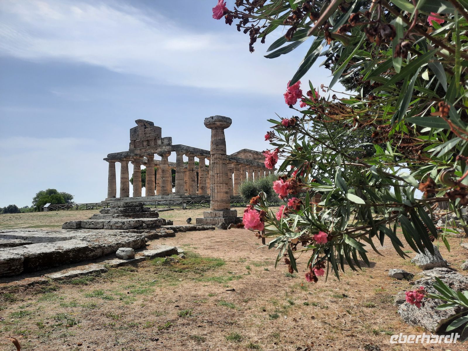 Paestum - Athena-Tempel