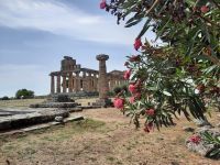 Paestum - Athena-Tempel