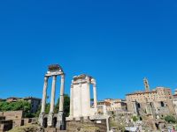 Rom - Forum Romanum (Tempel der Vesta)