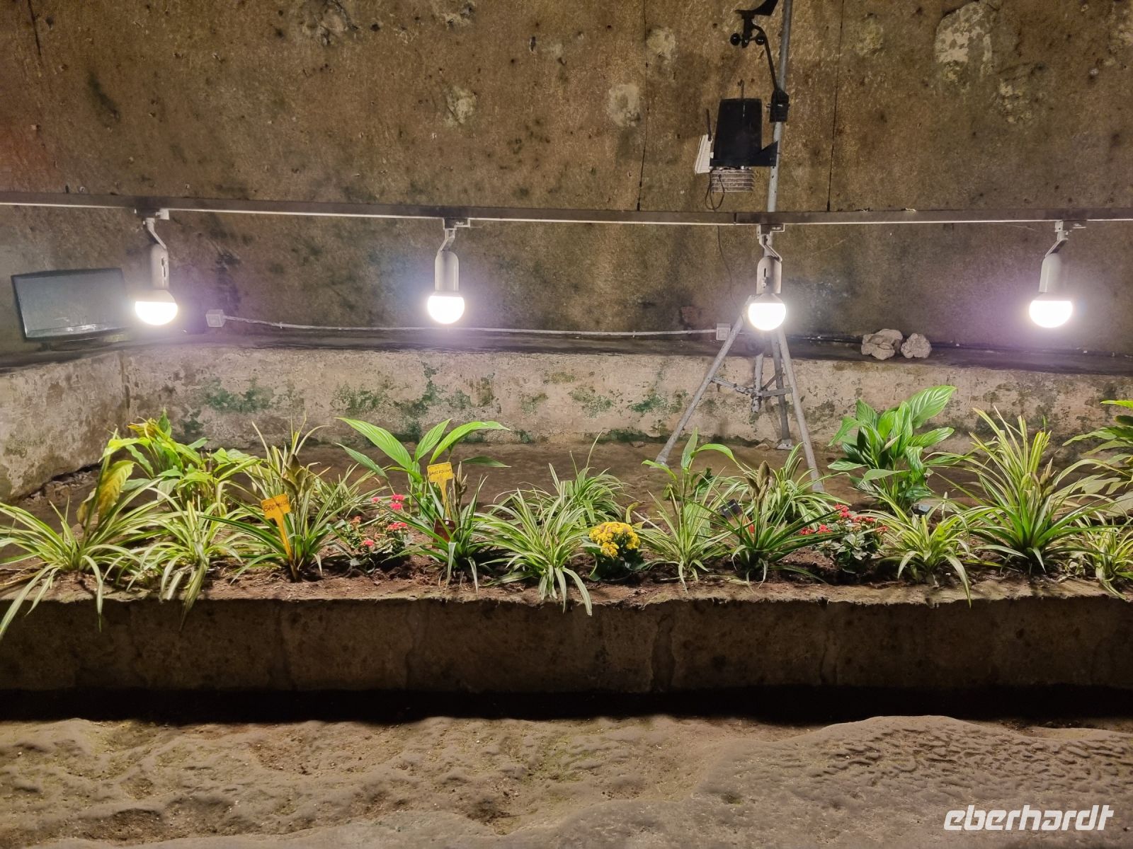 Neapel - Unterirdisches Neapel (Napoli Sotterranea)