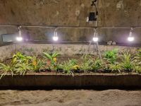 Neapel - Unterirdisches Neapel (Napoli Sotterranea)