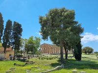 Paestum - Poseidon-Tempel
