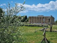 Paestum - Hera-Tempel