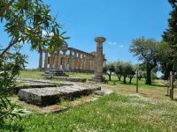 Paestum - Athene-Tempel