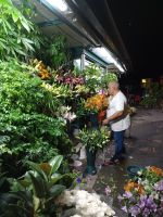Rom - Blumenmarkt am Abend