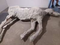 Pompeji-Gipsabdruck eines toten Pferdes