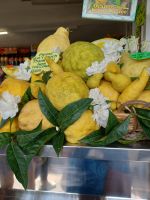 Zitronenprachtexemplare