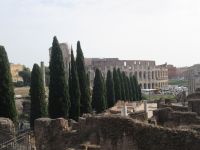 Blick aus dem Forum Romanum zum Kolosseum