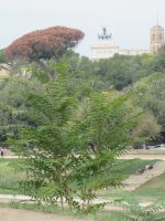 Blick aus dem Circus Maximus auf Quadriga des Vaterlandsaltars