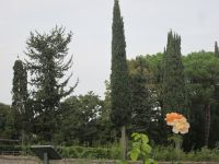 Rom: Aventin, Rosengarten