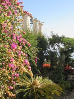 Ravello: Villa Ruffolo, Garten