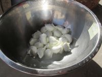 Kostprobe Mozzarella