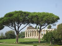 Paestum