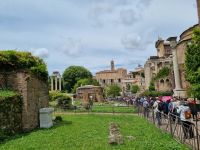 Rom - Forum Romanum 