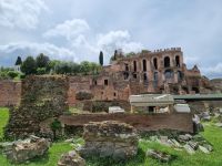 Rom - Forum Romanum (Blick zum Palatinhügel)