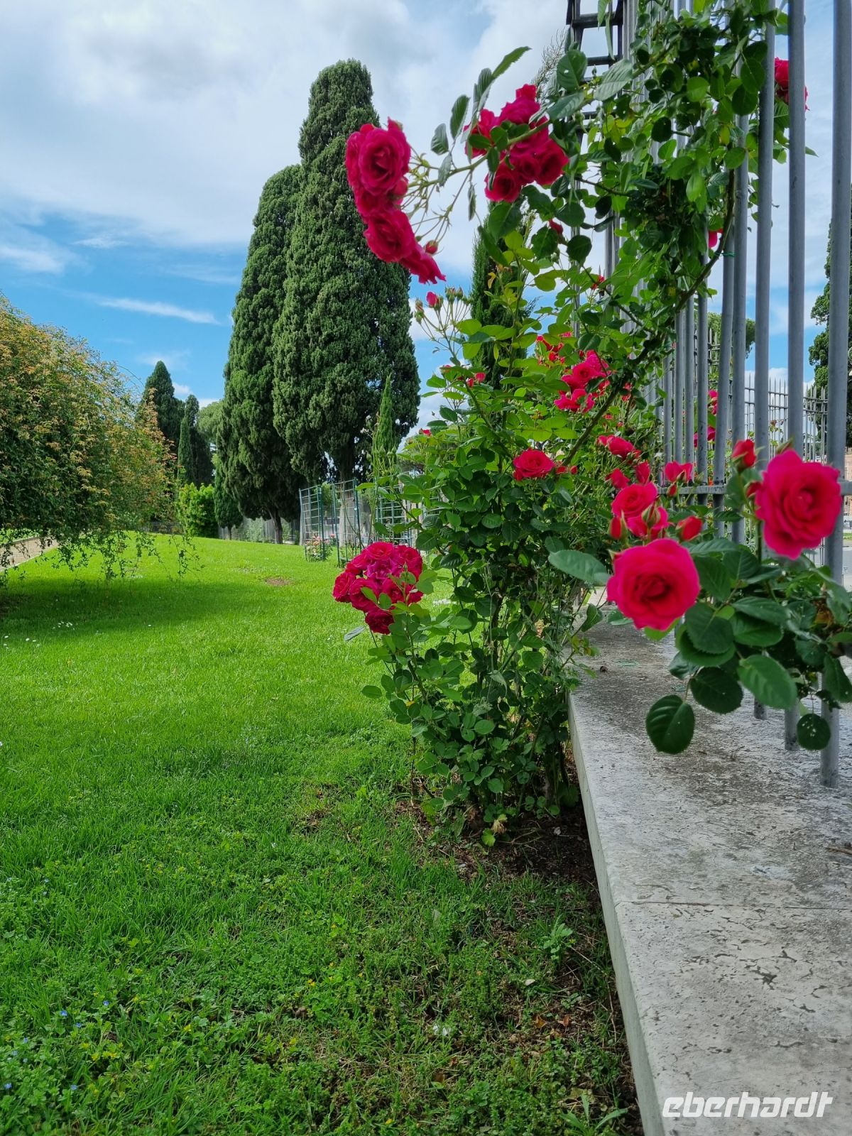 Rom - Aventinhügel (Rosengarten)