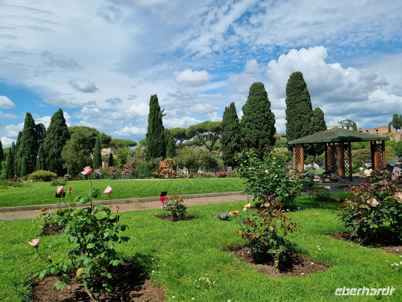 Rom - Aventinhügel (Rosengarten)