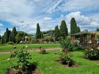 Rom - Aventinhügel (Rosengarten)