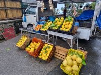 Amalfiküste - typische Produkte...