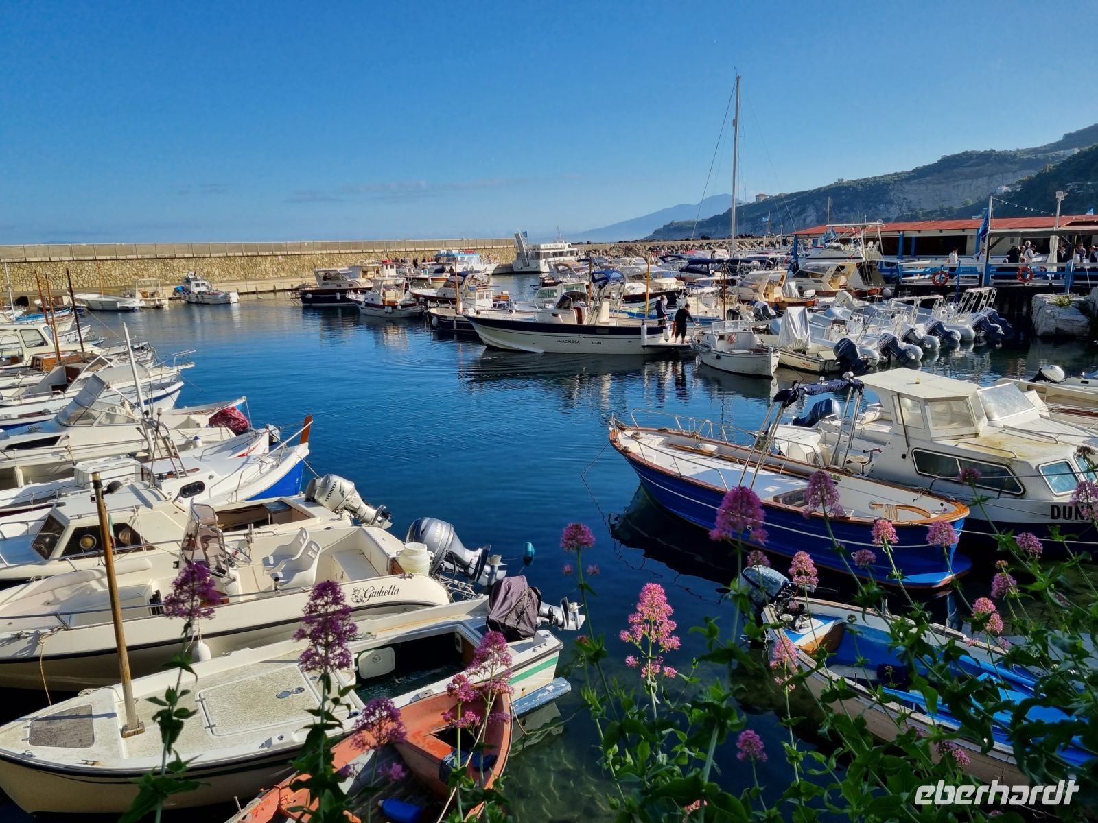 Hafen von Massalubrense 