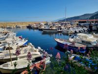 Hafen von Massalubrense 