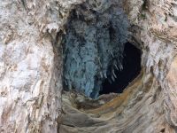 Insel Capri - Schifffahrt rund um die Insel...