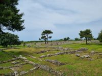 Paestum 