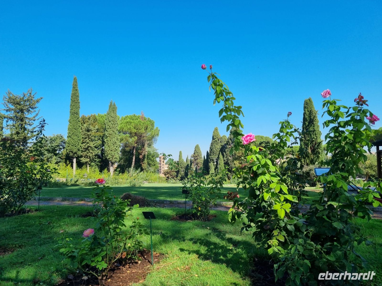 Rom - Aventinhügel (Rosengarten)