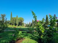 Rom - Aventinhügel (Rosengarten)