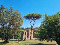 Rom - Palatinhügel (Nero-Aquädukt bzw. Aqua Claudia)