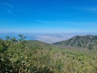 Aufstieg auf den Vesuv...