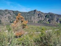 Aufstieg auf den Vesuv...