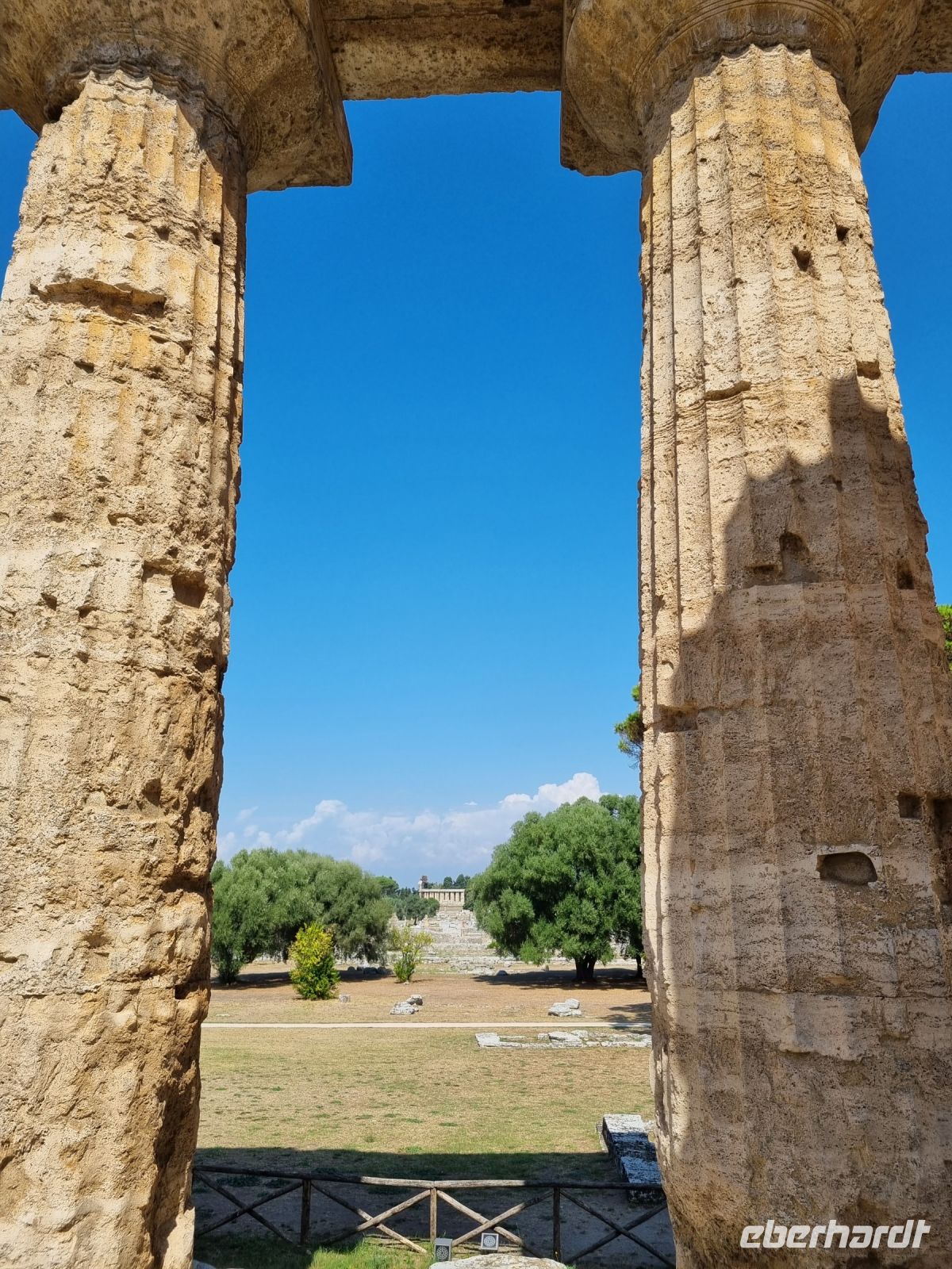 Paestum - Blick zum Athena-Tempel