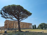 Paestum - Poseidon-Tempel