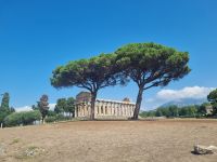 Paestum - Athena-Tempel