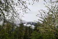 unten das frische Grün - oben Schnee