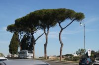 unser Besuch in Rom startet