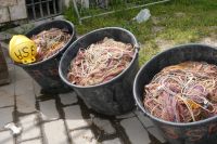 Fischernetze am Hafen von Mairori