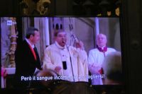 das Blutwunder des heiligen Gennaro auf Bildschirm