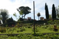 der Rosengarten auf dem Aventin-Hügel