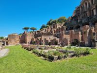 Rom - Forum Romanum (Haus der Vestalinnen) 