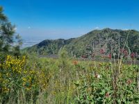 Aufstieg auf den Vesuv...