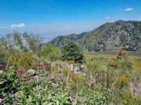 Aufstieg auf den Vesuv...