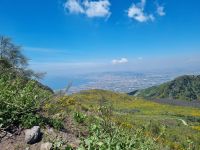 Aufstieg auf den Vesuv... (Golf von Neapel)