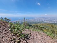 Aufstieg auf den Vesuv... (Golf von Neapel)