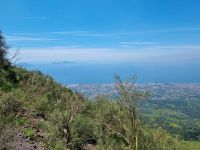 Aufstieg auf den Vesuv... (Golf von Neapel)